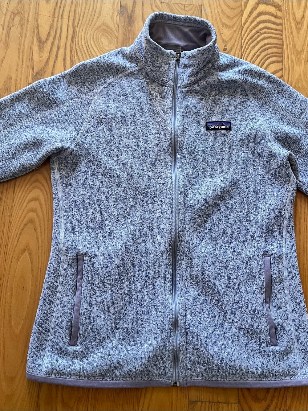 Patagonia Heathered Light Gray Full-Zip Fleece Jacket